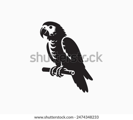 parrot silhouette vector art illustration