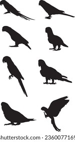 Parrot Silhouette Vektorgrafik-Paket