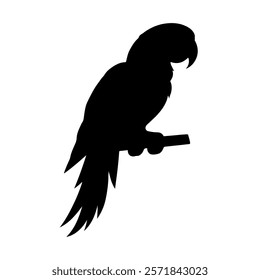 Parrot silhouette vector icon sign symbol illustration design.
