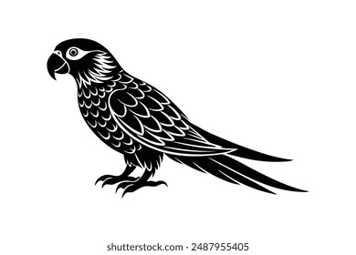  parrot silhouette vector illustration art