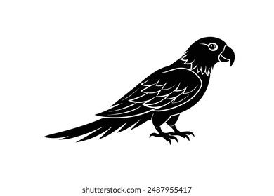  parrot silhouette vector illustration art
