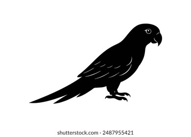  parrot silhouette vector illustration art