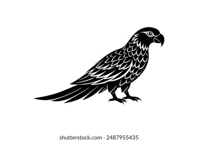  parrot silhouette vector illustration art
