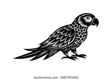  parrot silhouette vector illustration art