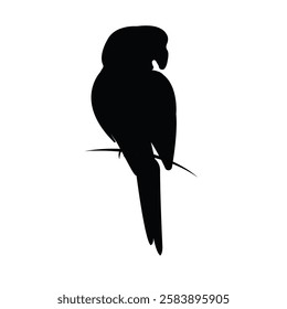 parrot silhouette vector image download 