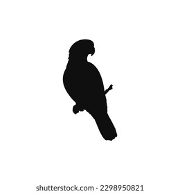 Parrot silhouette vector on a white background