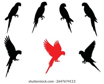 Parrot Silhouette Vector Set, Flying and Perched Parrots Icon Collection