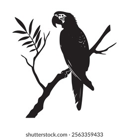 Parrot Silhouette Vector Set, Tropical Parrot Silhouette in Minimalist Style.