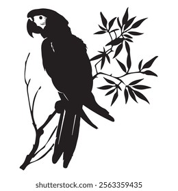 Parrot Silhouette Vector Set, Tropical Parrot Silhouette in Minimalist Style.