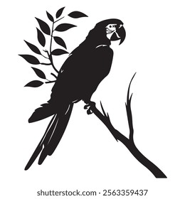 Parrot Silhouette Vector Set, Tropical Parrot Silhouette in Minimalist Style.