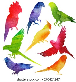 Parrot Silhouette. watercolor vector illustration