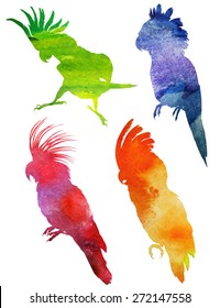 Parrot Silhouette. watercolor vector illustration