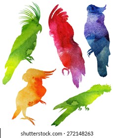 Parrot Silhouette. watercolor vector illustration