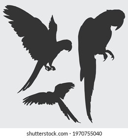 parrot silhouettes, 3 macaw silhouettes