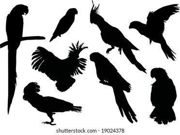 Duck Silhouette Collection Stock Illustration 25983709