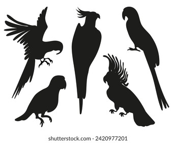 Parrot silhouettes collection isolated on white background.Vector silhouettes of Amazon jungle parrots.