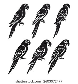 Parrot silhouettes on white background stock illustration