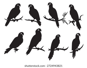 Papagei Silhouetten pro Design, Vektorgrafik