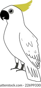 Parrot Simple Eps Vector Design Easy to re-edit