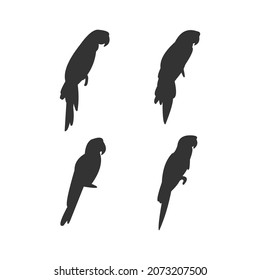 parrot simple vector silhouette design