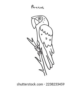 A parrot sits on a branch. Vector outline illustration.