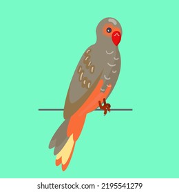 Parrot sits on a pole. Bird on a pole. Isolated illustration on a colored background. Cartoon style. Vector illustration