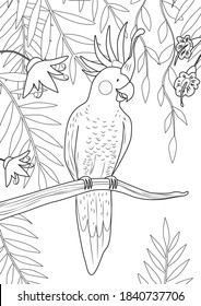 The parrot sits on a tree branch in the jungle. Coloring page for coloring book. Cartoon vector illustration.