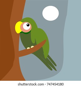 A Parrot sitting alone in a branch of tree night background vector illustration