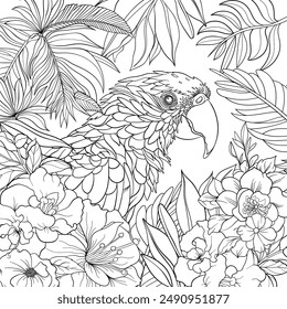 Parrot sitting amongst tropical leaves and flowers, colouring book page design, vector outline