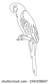 The parrot is sitting. Bird in modern one line style. Solid line, outline for decor, posters, stickers, logo. Vector illustration.