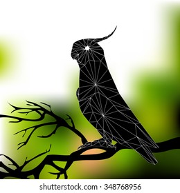 parrot sitting on a branch