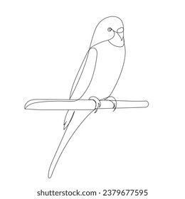 parrot sitting on a branch, line drawing, sketch isolated vector