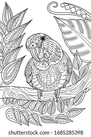 A parrot sitting on a branch in a rainforest. Page of coloring book. Vector illustration.