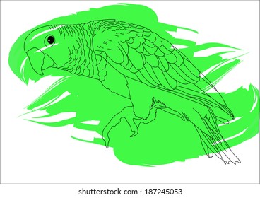 parrot sitting on a green background, vector graphic drawing