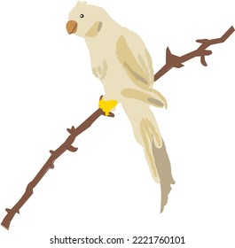 loro sentado en un árbol