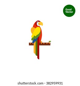 Parrot sitting on tree branch
