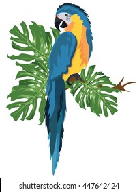 Parrot sitting on a tree branch isolated. Vector tropical birds