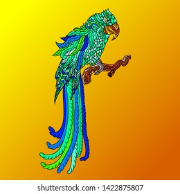 Parrot sketch. Doodle bird pattern. Vector illustration.