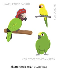 Parrot South America Cartoon Vector Illustration