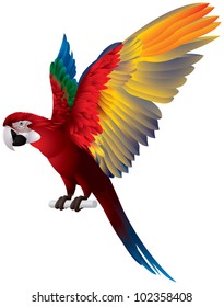 Parrot Spread Wings, Red-and-green Macaw, large mostly-red Green-winged bird, the largest of the Ara genus, vector image