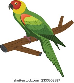 paro de loro en la rama