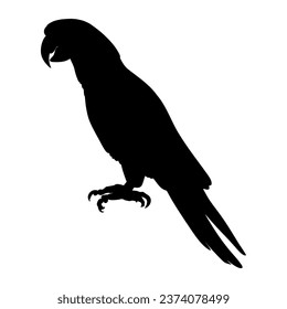 Loro parado de silueta. Ilustración del vector