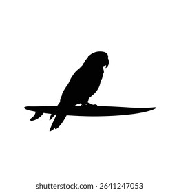 Parrot surfing silhouette tropical bird summer fun.