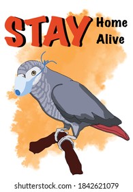 parrot taking mask for protect  corona , text, stay at home ,stay alive, poster brochure  design