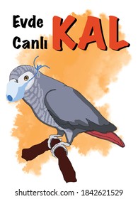 parrot taking mask for protect  corona , turkish text, stay at home ,stay alive, poster brochure  design, illustration  drawing 