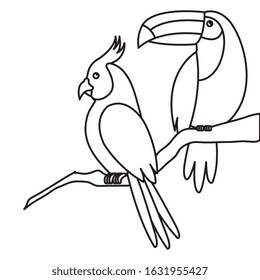 parrot with toucan in tree branch isolated icon vector illustration design