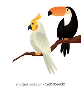 parrot with toucan in tree branch isolated icon vector illustration design