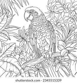 Loro en un árbol, ilustración vectorial, contorno, diseño.