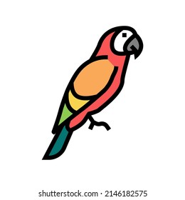 parrot tropical bird color icon vector. parrot tropical bird sign. isolated symbol illustration