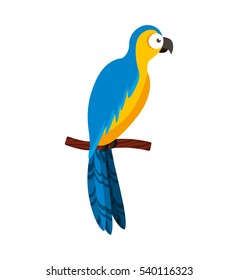 parrot tropical bird icon vector illustration design